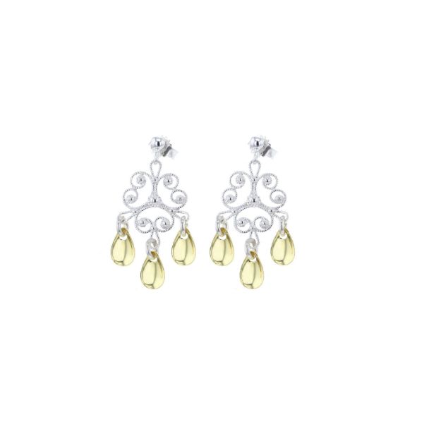 Bilde av Ørepynt, Store nyreheng